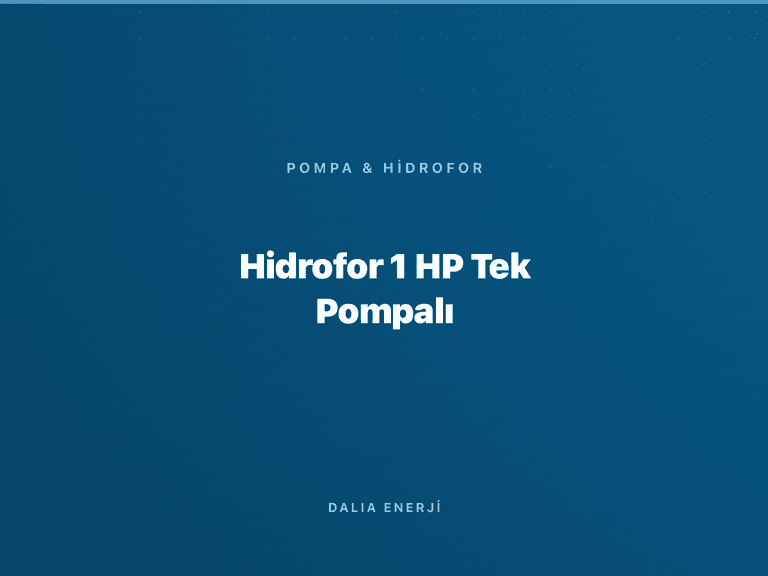Hidrofor 1 HP Tek Pompalı